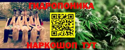 стафф Обь