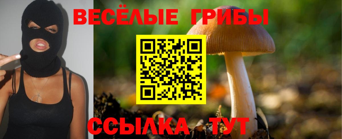 Соликамск  наркота  Вход с VPN  Псилоцибиновые грибы мухоморы 